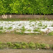 Grandinata nel Torinese, i danni all'agricoltura sono ingenti, a rischio grano e fieno, serre scoperchiate