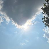 Ancora una giornata bollente in Piemonte, a Torino il call center per gli anziani e centri di accoglienza climatizzati Ancora una giornata bollente in Piemonte, a Torino il call center per gli anziani e centri di accoglienza climatizzati