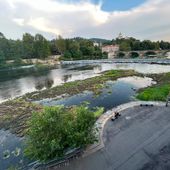 Il Po diventa una prateria per la poca acqua [video]