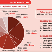 A Torino una famiglia su tre è nella fascia di debolezza e diminuiscono anche quelle agiate A Torino una famiglia su tre è nella fascia di debolezza e diminuiscono anche quelle agiate