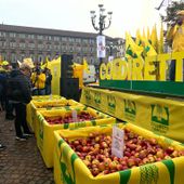 SoS frutta: gli agricoltori con 4 kg di mele comprano 1 caffè [video]