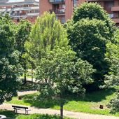 Offerte di lavoro per ragionieri e agronomi a Torino e provincia