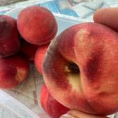 Inflazione: il caldo spinge i consumi ma per frutta e verdura i prezzi triplicano