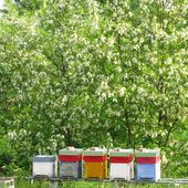 L'agricoltura sostenibile fa bene all'ambiente. Un'indagine di Coldiretti