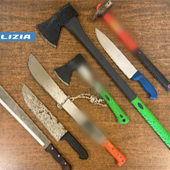 Armato di machete danneggia i portoni di via Mottarone, arrestato dalla polizia