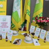 Prodotti alimentari extra Ue, Coldiretti chiede più controlli per salvare le eccellenze piemontesi Prodotti alimentari extra Ue, Coldiretti chiede più controlli per salvare le eccellenze piemontesi