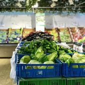 Negozi di vicinato, a Torino la crisi morde sempre di più Negozi di vicinato, a Torino la crisi morde sempre di più