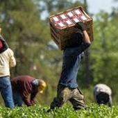 Lotta al caporalato e sistema di accoglienza, Saluzzo e il Piemonte sono un modello positivo a livello nazionale