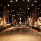 Museo Egizio, via libera alla proroga della Fondazione fino al 2064 Museo Egizio, via libera alla proroga della Fondazione fino al 2064