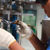 Clima di fiducia stabile per le imprese piemontesi anche se pesa la frenata dell'export