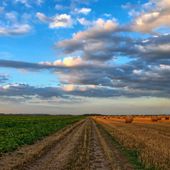 Caldo, estendere la Cassa integrazione agli stagionali per gli eventi climatici