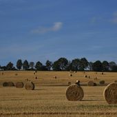 I numeri non mentono, è il cibo la prima ricchezza del Paese