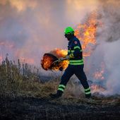 Piemonte, stato di massima pericolosità per gli incendi boschivi Piemonte, stato di massima pericolosità per gli incendi boschivi