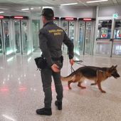 Immigrazione clandestina, a Torino la Guardia di Finanza arresta nove persone