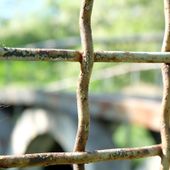 Un Tavolo permanente per affrontare l'emergenza dell'Istituto penale minorile Ferrante Aporti