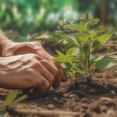 Legge Caselli, pronta la norma contro le frodi agroalimentari voluta dall'Osservatorio Agromafie Legge Caselli, pronta la norma contro le frodi agroalimentari voluta dall'Osservatorio Agromafie