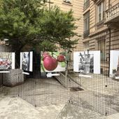 Uno scatto di legalità, dodici foto per parlare di giustizia e diritti