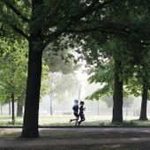 Per contrastare le isole di calore in città aumentiamo aree verdi e alberate Per contrastare le isole di calore in città aumentiamo aree verdi e alberate