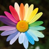 Nasce il Coordinamento Torino antirazzista e plurale Nasce il Coordinamento Torino antirazzista e plurale