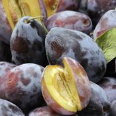 Quotazioni insostenibili per la frutta destinata all’industria Quotazioni insostenibili per la frutta destinata all’industria