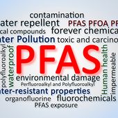 Smat, attenzione agli scarichi di Pfas: la Città metropolitana imponga nuovi limiti Smat, attenzione agli scarichi di Pfas: la Città metropolitana imponga nuovi limiti