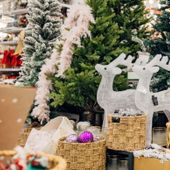 Regali di Natale, per Ascom i torinesi pronti a spendere più dello scorso anno