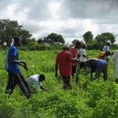 L’idrogeno verde è uno  spreco di energia, meglio i biocarburanti che aiutano l’Africa e salvano l’industria italiana