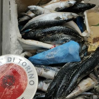Torino, corso Giulio Cesare: cibo da incubo al banglamarket