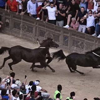 Palio di Siena: e se la smettessimo con certe tradizioni?