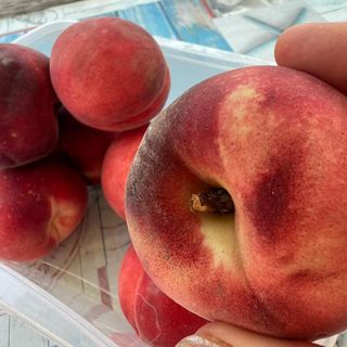 Inflazione: il caldo spinge i consumi ma per frutta e verdura i prezzi triplicano