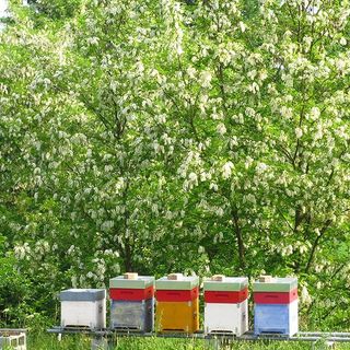 L'agricoltura sostenibile fa bene all'ambiente. Un'indagine di Coldiretti