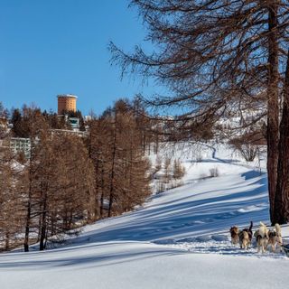 Quasi 17 milioni di presenze, nel 2024 il turismo in Piemonte è da record