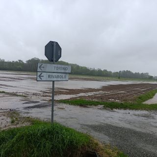 Fiumi esondati nel Torinese, perso un migliaio di ettari di coltivazioni