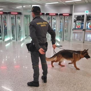 Immigrazione clandestina, a Torino la Guardia di Finanza arresta nove persone