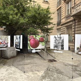 Uno scatto di legalità, dodici foto per parlare di giustizia e diritti