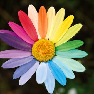 Nasce il Coordinamento Torino antirazzista e plurale