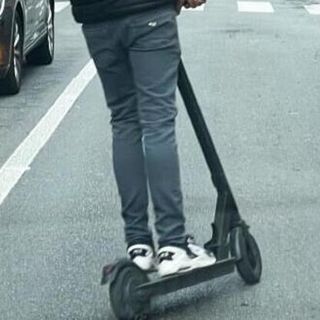 Rapine in monopattino, la polizia arresta un ventenne tunisino