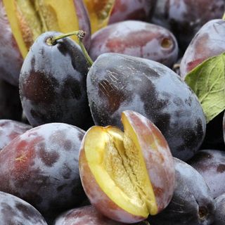 Quotazioni insostenibili per la frutta destinata all’industria