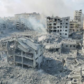 "Akli baladi", la cooperazione internazionale tra Italia e Palestina