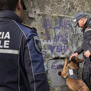 Nasce il primo gruppo cinofilo regionale della Polizia locale