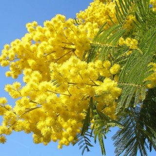 8 Marzo, le imprenditrici: non possiamo più accontentarci delle quote rosa