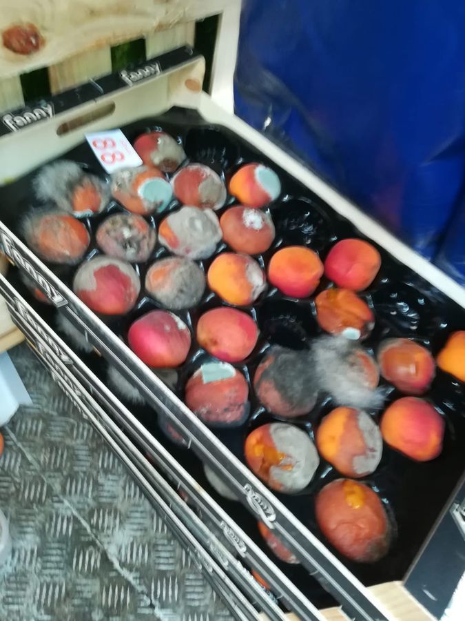 Porta Palazzo, i vigili sequestrano 6 quintali di frutta ammuffita