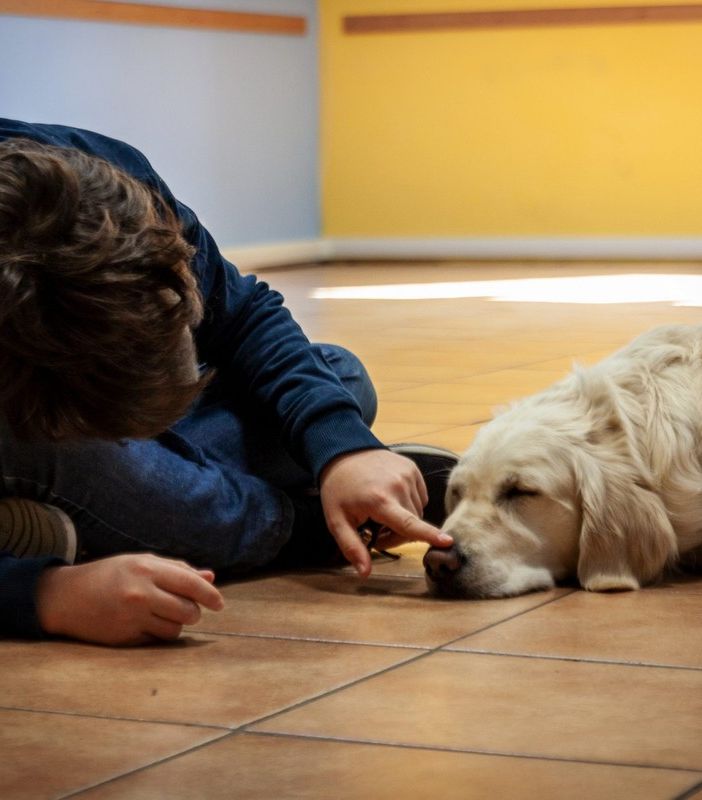 Piemonte, Pet Therapy, il 13 giugno incontro con tutte le associazioni, si ricomincia
