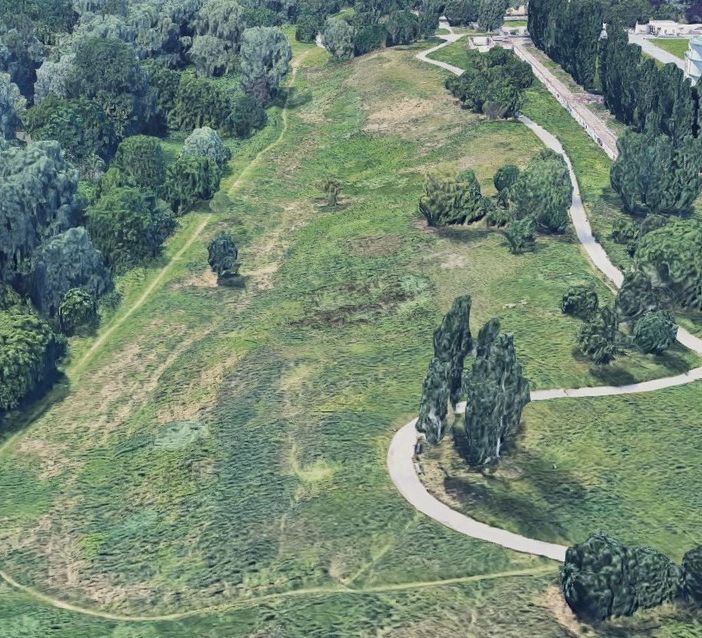 Un nuovo bosco di oltre 2000 piante per Torino nel parco Sangone