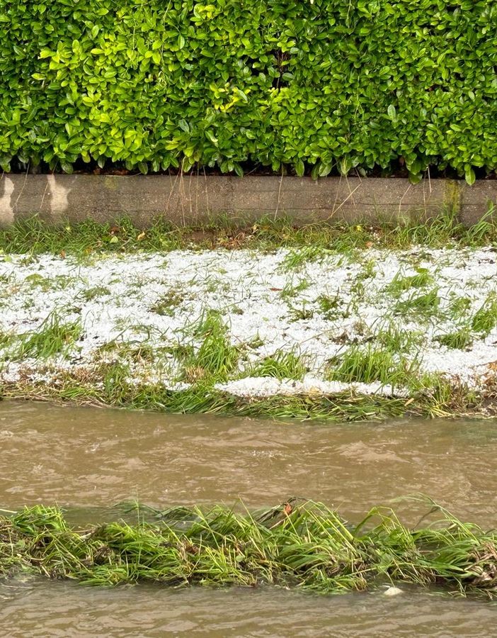 Grandinata nel Torinese, i danni all'agricoltura sono ingenti, a rischio grano e fieno, serre scoperchiate