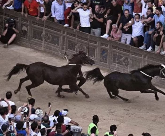 Palio di Siena: e se la smettessimo con certe tradizioni?