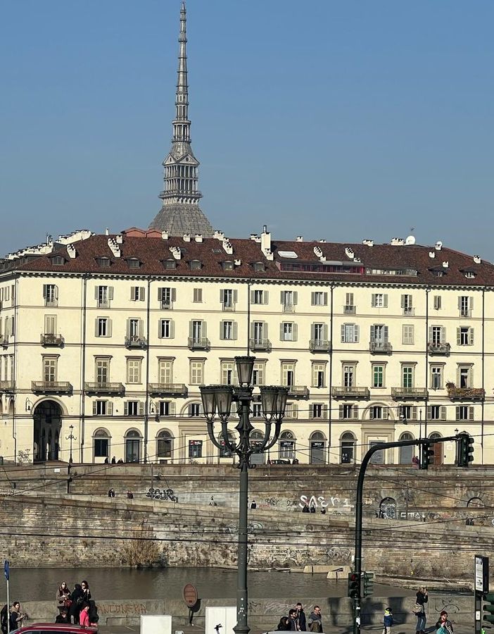 Elegante, quadrata e un po' jazz: è l'immagine di Torino secondo i suoi  cittadini e i turisti
