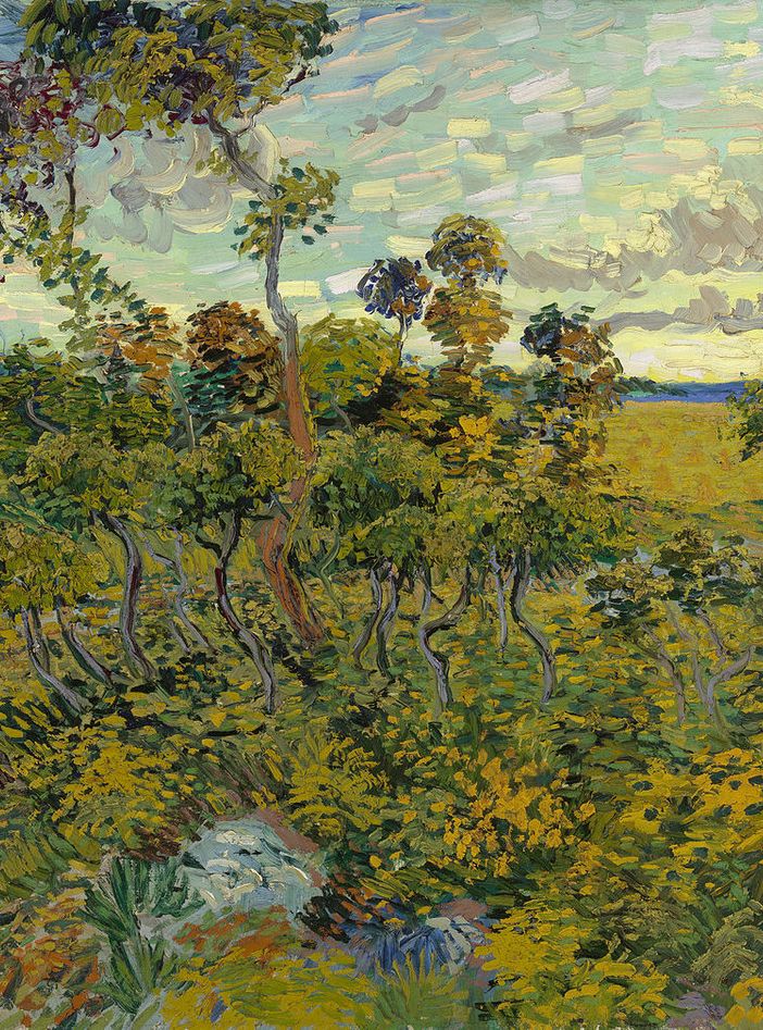 Ma..se il nonno muore e in soffitta trovo un Van Gogh? Di Paolo Turati*