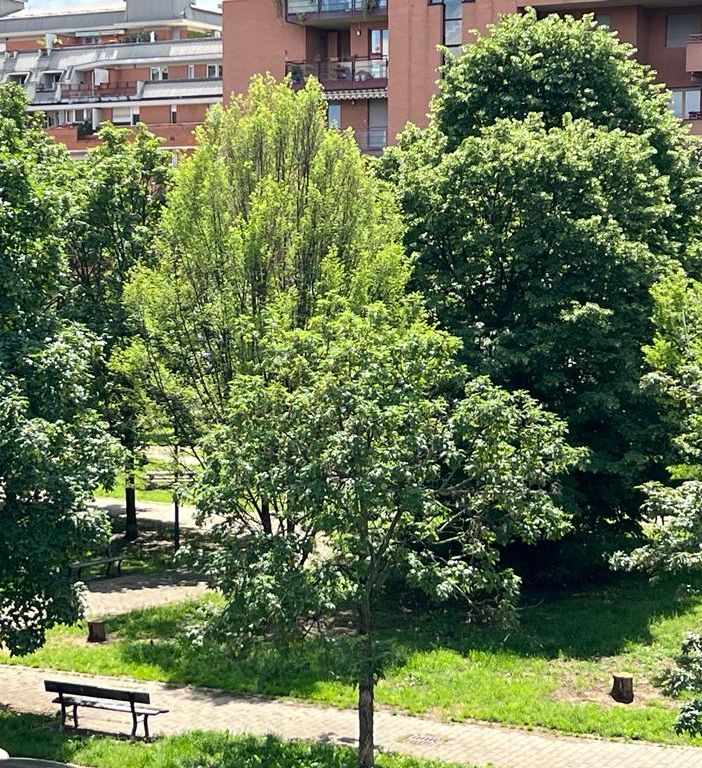 Offerte di lavoro per ragionieri e agronomi a Torino e provincia