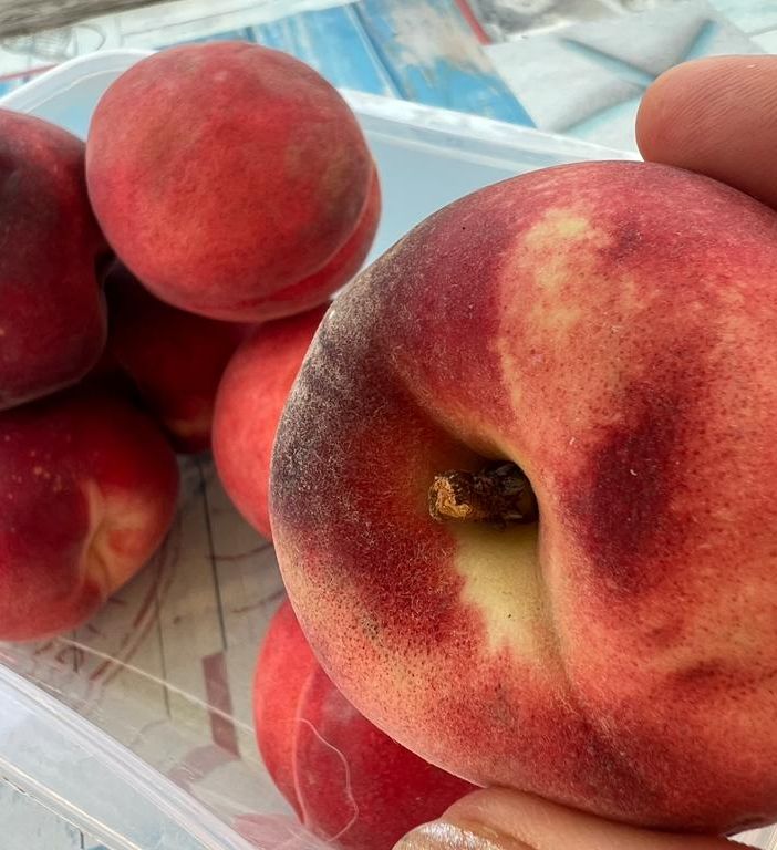 Inflazione: il caldo spinge i consumi ma per frutta e verdura i prezzi triplicano